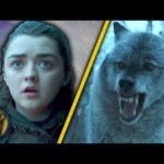The Truth About The Wolf In Season 7! (Game of Thrones)