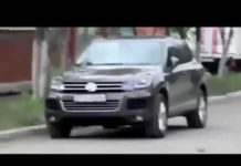 Amazing movies best funny animals