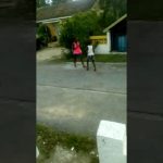 Biggest fight ever!!!