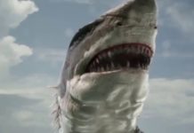 Sharktopus vs Pterocuda all monster scenes