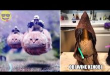 Things Only Star Wars Fans Will Find Funny