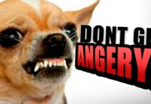 TRY NOT TO GET ANGERY CHALLENGE!