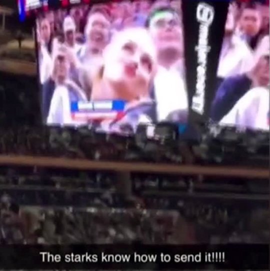 Sophie Turner chugging wine at a hockey game is a big mood Picture: @sophiet METORGRAB Instagram Collect