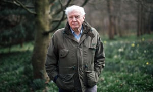 David Attenborough in Climate Change: The Facts