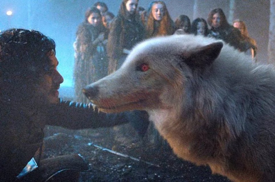 Game of Thrones' Jon Snow will be reunited with Direwolf Ghost in finale season (Picture: HBO)