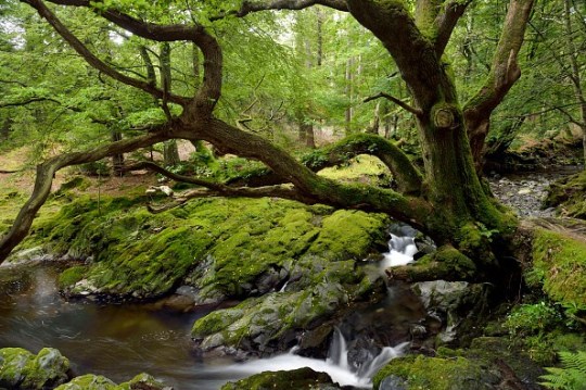 Game of Thrones location County Down