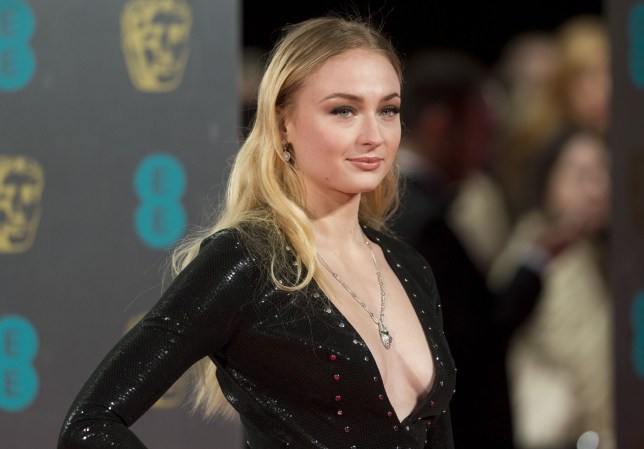 Sophie Turner on the red carpet