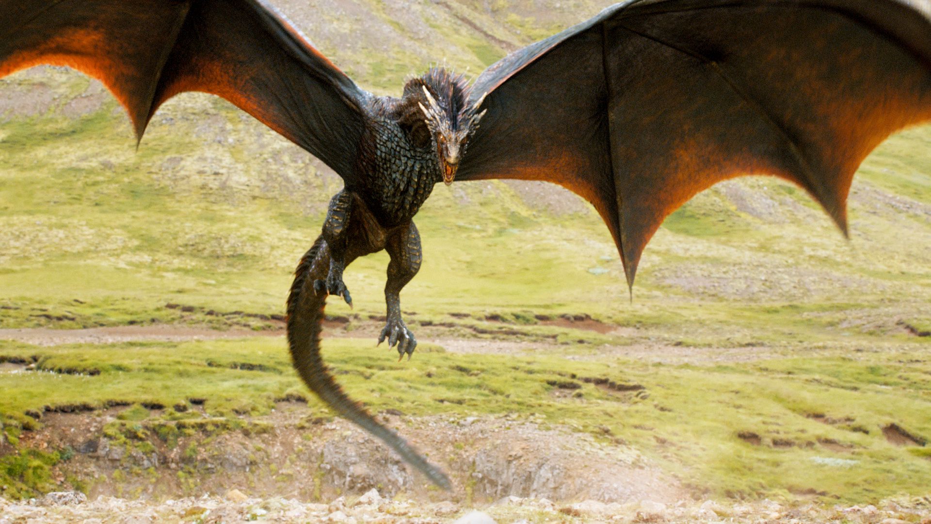 Game of Thrones' dragon