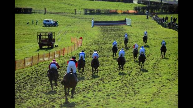 Loughbrickland Point-to-Point.jpg