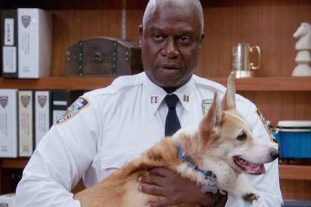 Cheddar Brooklyn Nine Nine