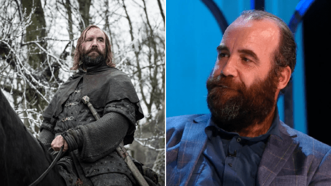 Rory McCann as The Hound