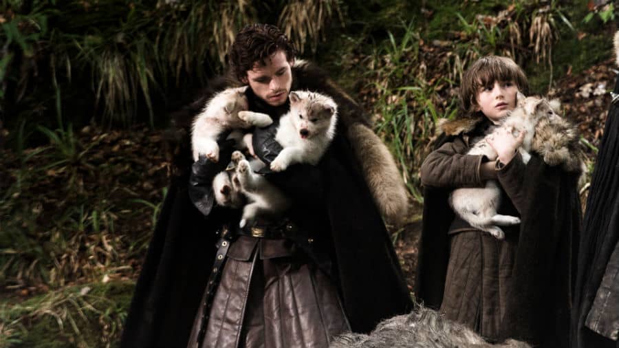 The dog who played Bran Stark's direwolf (Summer) pup passes away due to cancer