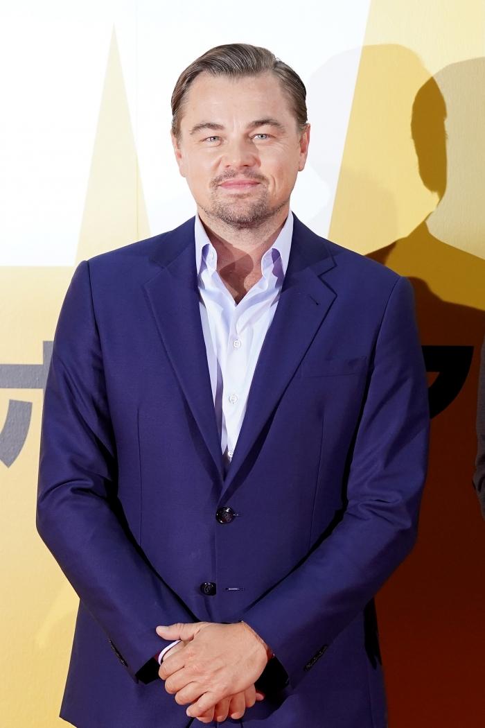 Leonardo DiCaprio poses on a red carpet