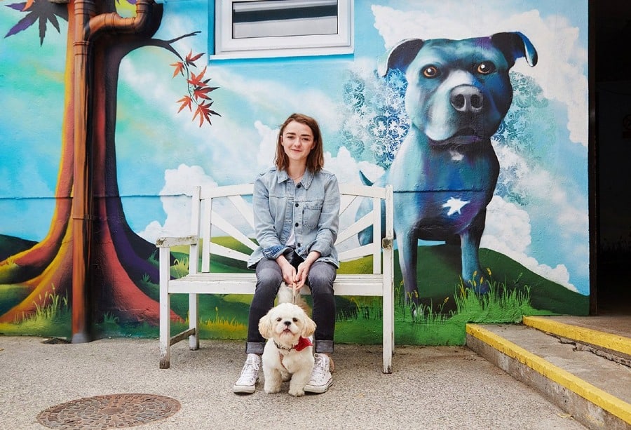 Maisie Williams makes a generous donation of £50,000 to animal shelter