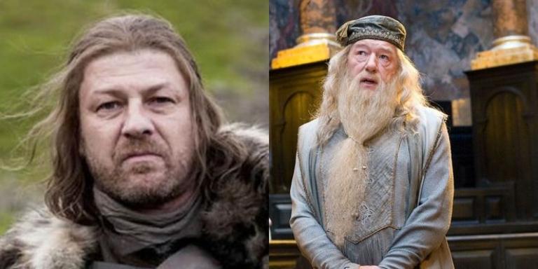 Harry Potter : Chaque personnage principal a son équivalent dans la série Game of Thrones, la preuve