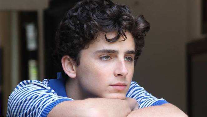 timothee-chalamet-call-me-by-your-name