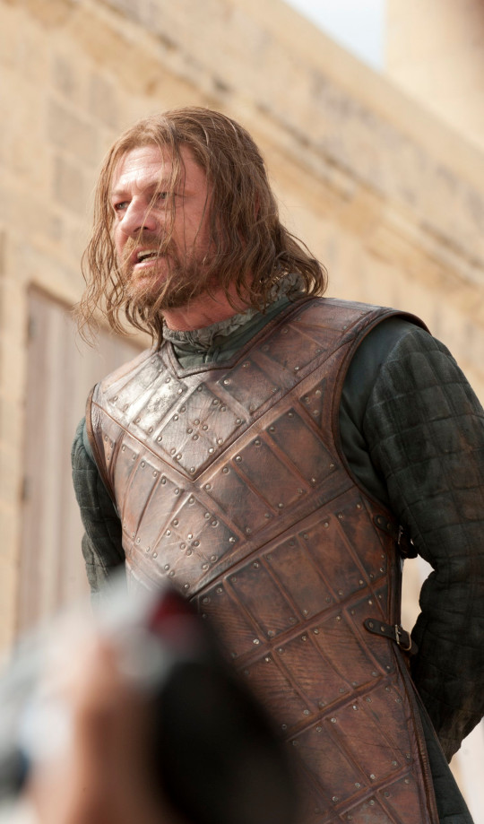 Sean Bean as Eddard Stark