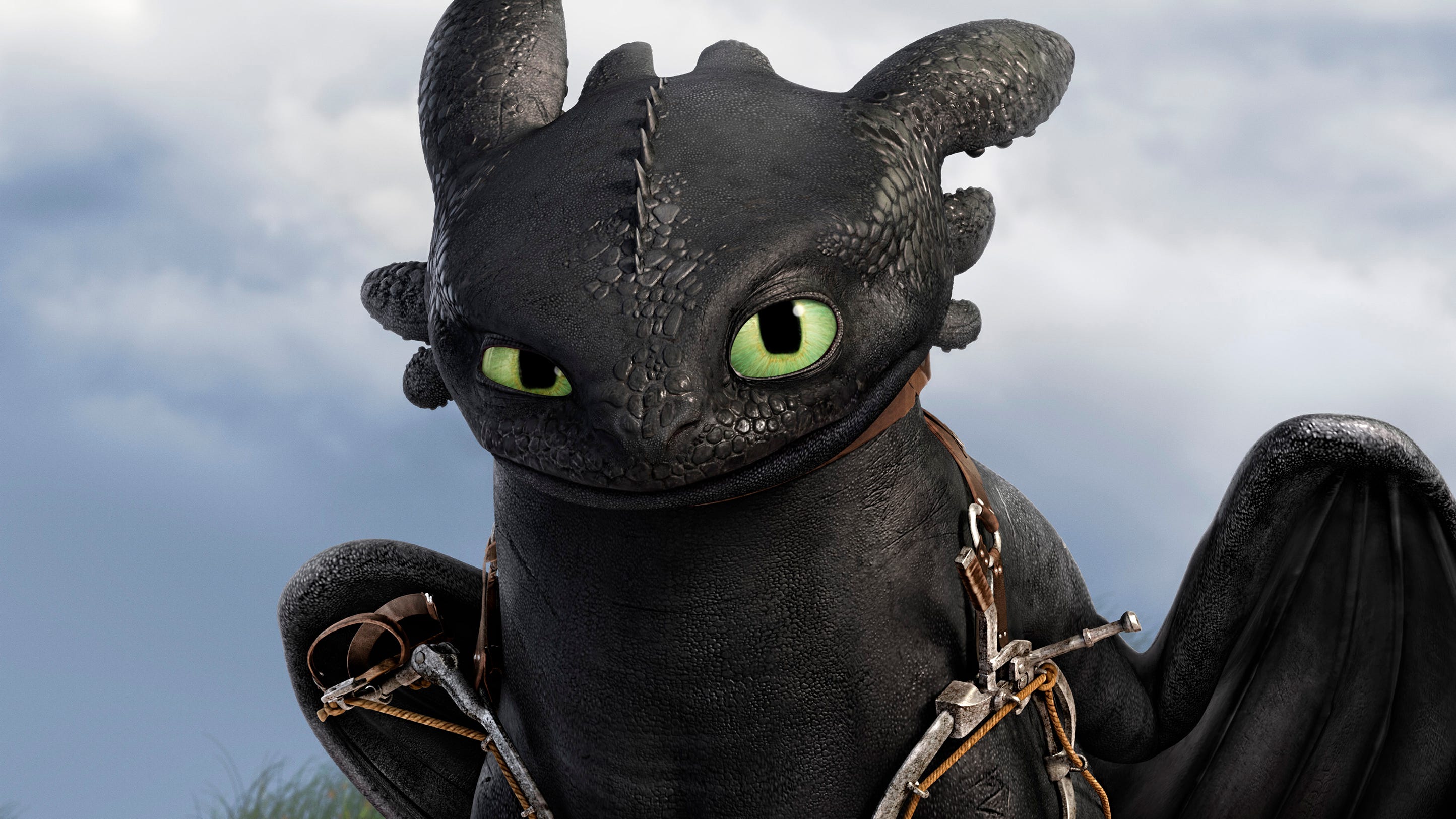Toothless from the animated motion picture "How to Train Your Dragon 2."