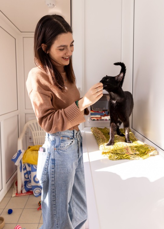 Undated handout photo of Emily Carey feeding Pimento the cat, during her visit to the Blue Cross rehoming centre in Kimpton, Hertfordshire. Issue date: Tuesday October 11, 2022. PA Photo. The House Of The Dragon star, met animals and staff at the centre, speaking to them about the work they do for the Blue Cross, a national animal charity which is celebrating its 125th anniversary this year and provides care for sick, injured and homeless pets. See PA story ANIMALS Carey. Photo credit should read: Nigel Davies/PA Wire NOTE TO EDITORS: This handout photo may only be used in for editorial reporting purposes for the contemporaneous illustration of events, things or the people in the image or facts mentioned in the caption. Reuse of the picture may require further permission from the copyright holder.