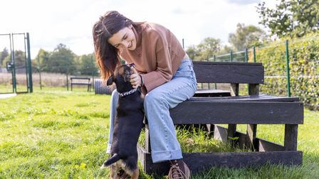 Emily Carey stroking a small black dog.