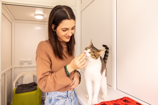 Undated handout photo of Emily Carey feeding Monty the cat, during her visit to the Blue Cross rehoming centre in Kimpton, Hertfordshire. Issue date: Tuesday October 11, 2022. PA Photo. The House Of The Dragon star, met animals and staff at the centre, speaking to them about the work they do for the Blue Cross, a national animal charity which is celebrating its 125th anniversary this year and provides care for sick, injured and homeless pets. See PA story ANIMALS Carey. Photo credit should read: Nigel Davies/PA Wire NOTE TO EDITORS: This handout photo may only be used in for editorial reporting purposes for the contemporaneous illustration of events, things or the people in the image or facts mentioned in the caption. Reuse of the picture may require further permission from the copyright holder.