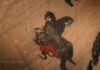 House of the Dragon Season 3 Episode 7 adds Criston Cole’s death to the tapestry
