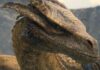 Scientists name newly-discovered Thailand lizard after House of the Dragon’s Syrax