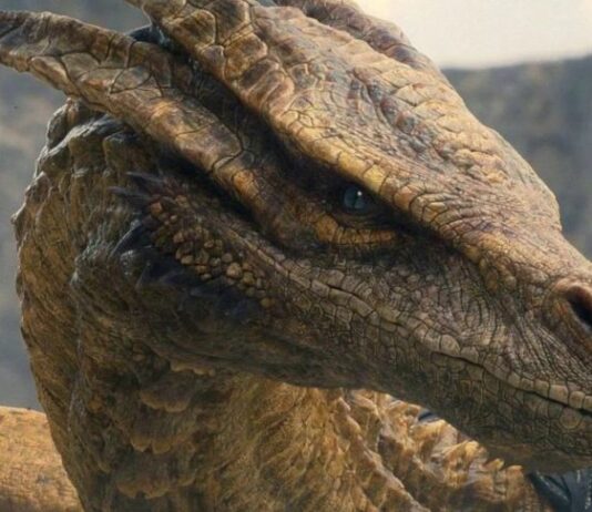 Scientists name newly-discovered Thailand lizard after House of the Dragon’s Syrax